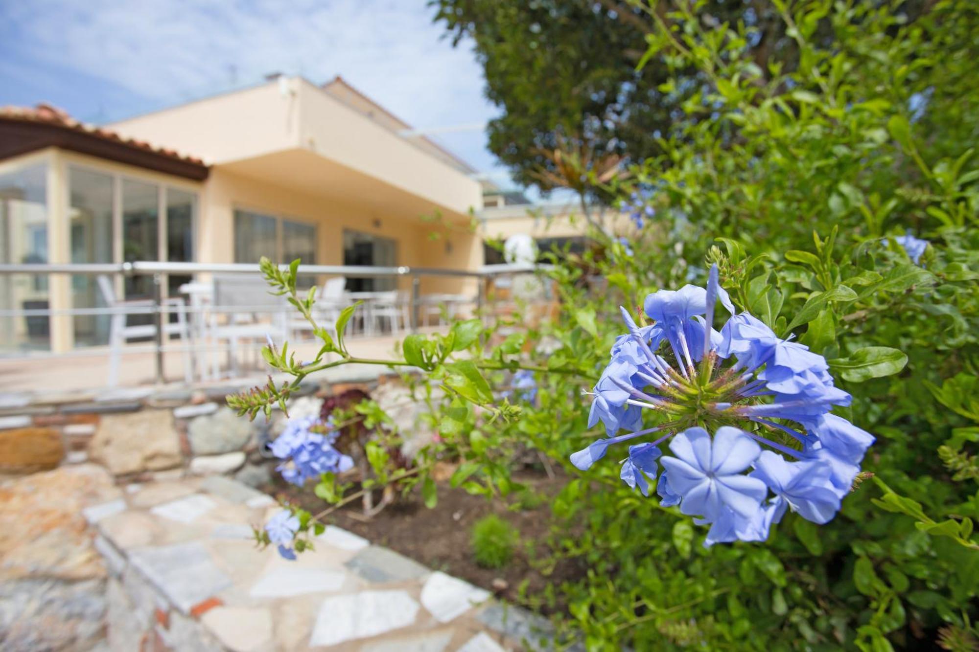 Achilleas Beach Hotel Adults Only Mastichari  Exterior foto